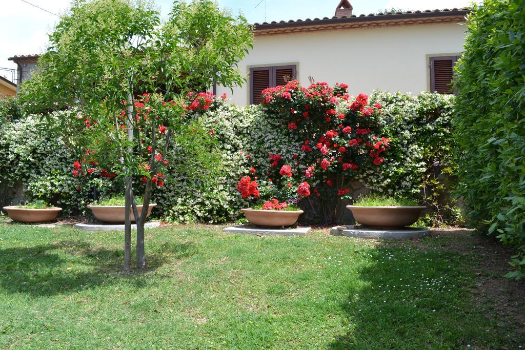 Agriturismo La Ghiraia Santa Luce Esterno foto