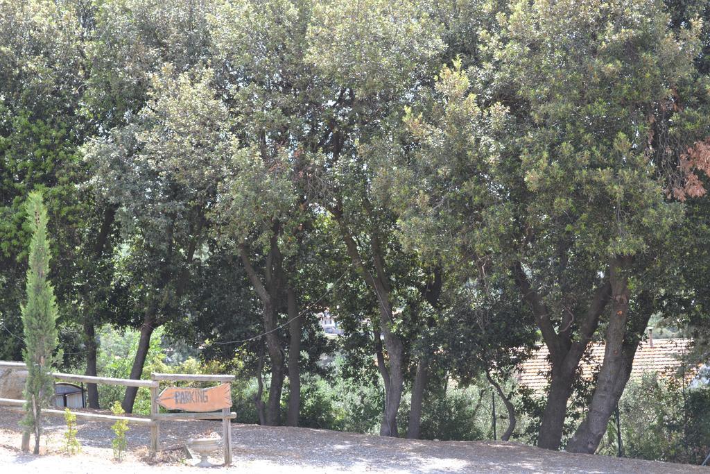 Agriturismo La Ghiraia Santa Luce Esterno foto