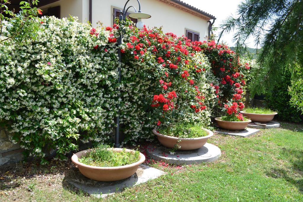 Agriturismo La Ghiraia Santa Luce Esterno foto