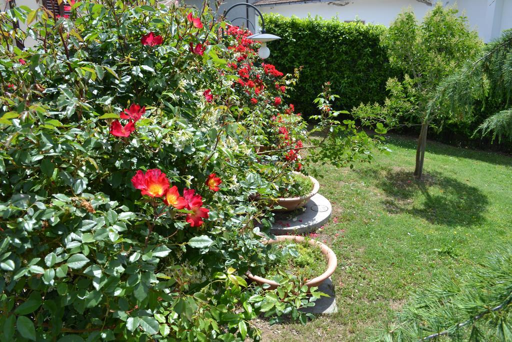 Agriturismo La Ghiraia Santa Luce Esterno foto
